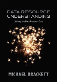 bokomslag Data Resource Understanding