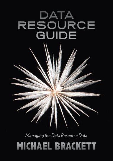 bokomslag Data Resource Guide
