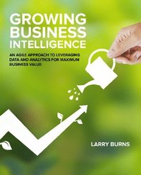 bokomslag Growing Business Intelligence