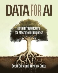 bokomslag Data for AI