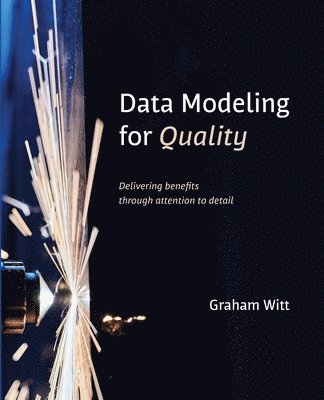 bokomslag Data Modeling for Quality
