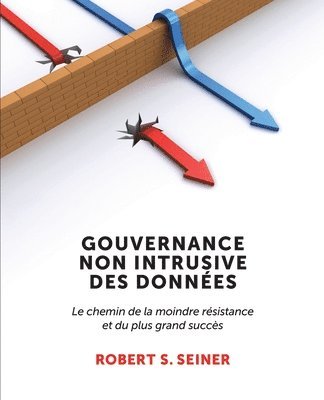Robert S Seiner - Gouvernance Non Intrusive Des Données, Häftad