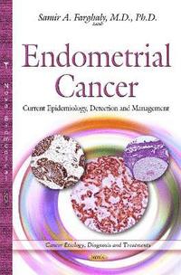 bokomslag Endometrial Cancer