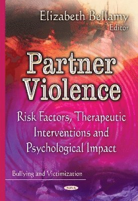 bokomslag Partner Violence