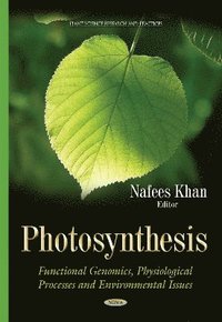 bokomslag Photosynthesis