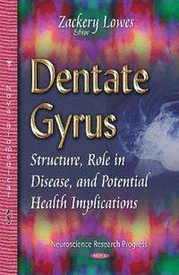 bokomslag Dentate Gyrus