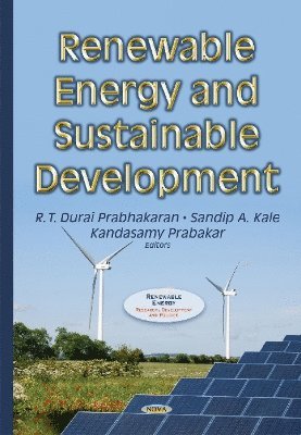bokomslag Renewable Energy & Sustainable Development
