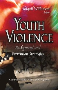 bokomslag Youth Violence