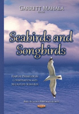 bokomslag Seabirds & Songbirds