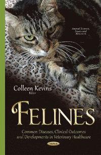bokomslag Felines