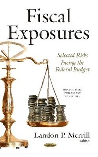 bokomslag Fiscal Exposures