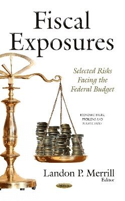 bokomslag Fiscal Exposures