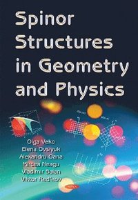 bokomslag Spinor Structures in Geometry & Physics