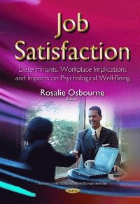 bokomslag Job Satisfaction