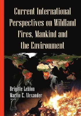 bokomslag Current International Perspectives on Wildland Fires, Mankind & the Environment