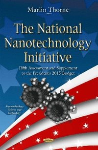 bokomslag National Nanotechnology Initiative