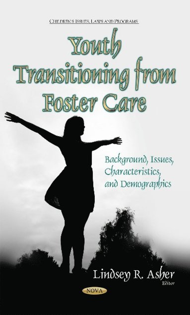 bokomslag Youth Transitioning from Foster Care