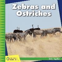 Kevin Cunningham - Zebras and Ostriches, Häftad