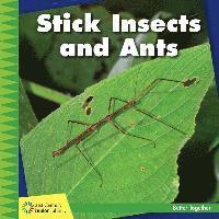 Kevin Cunningham - Stick Insects and Ants, Häftad. Tillgänglighet: Tillfälligt slut