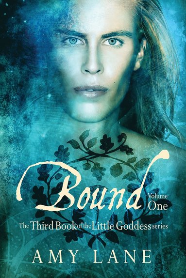 bokomslag Bound, Vol. 1