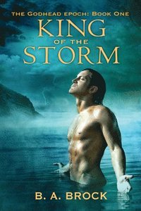 bokomslag King of the Storm Volume 1