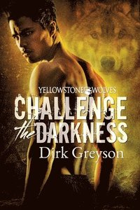 bokomslag Challenge the Darkness Volume 1