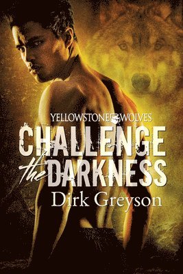 Challenge the Darkness Volume 1 1