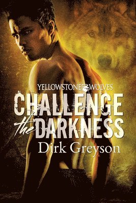 Dirk Greyson - Challenge the Darkness Volume 1, Häftad
