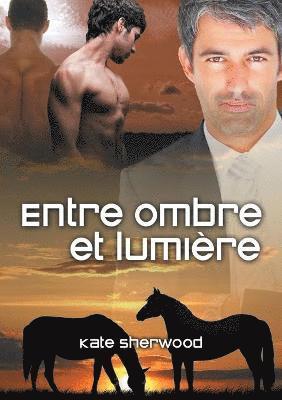 bokomslag Entre Ombre Et Lumire (Translation)