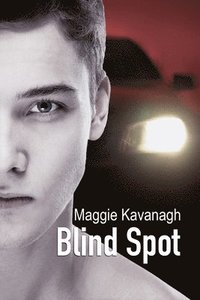 bokomslag Blind Spot