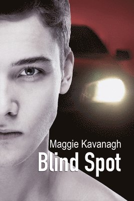 bokomslag Blind Spot Volume 3