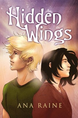 bokomslag Hidden Wings Volume 1