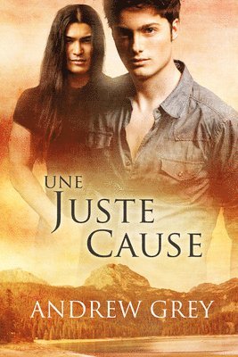 bokomslag Une Juste Cause