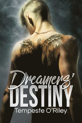 Dreamers' Destiny 1