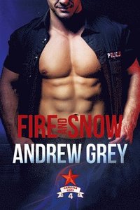 bokomslag Fire and Snow Volume 4