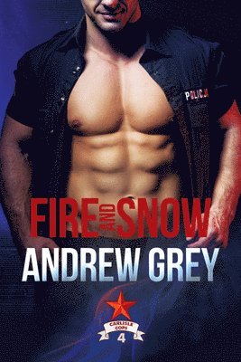 bokomslag Fire and Snow Volume 4