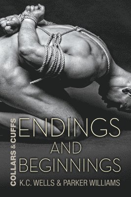 bokomslag Endings and Beginnings Volume 8