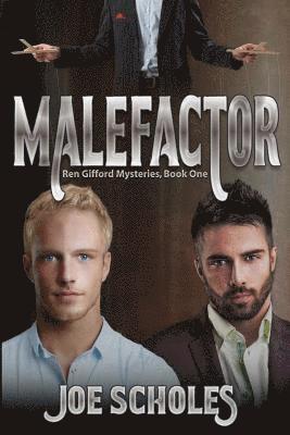 bokomslag Malefactor