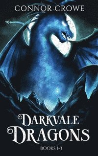 bokomslag Darkvale Dragons