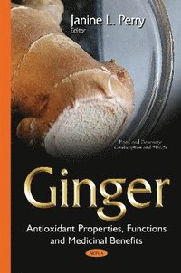 bokomslag Ginger