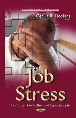 bokomslag Job Stress