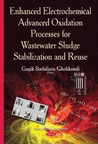 bokomslag Enhanced Electrochemical Advanced Oxidation Processes for Wastewater Sludge Stabilization & Reuse