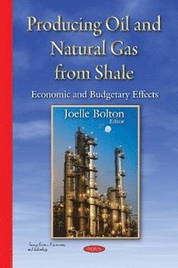 bokomslag Producing Oil & Natural Gas from Shale