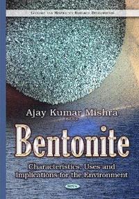 bokomslag Bentonite