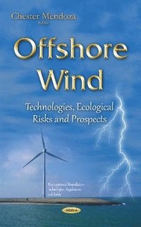 bokomslag Offshore Wind