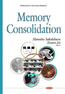 bokomslag Memory Consolidation