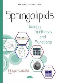 bokomslag Sphingolipids