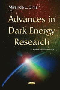 bokomslag Advances in Dark Energy Research