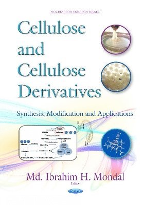 bokomslag Cellulose & Cellulose Derivatives