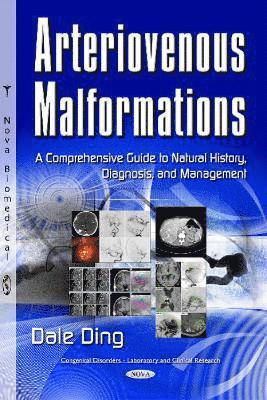 bokomslag Arteriovenous Malformations